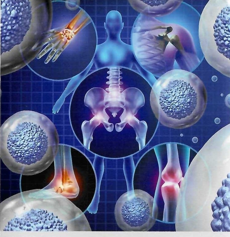 Cells