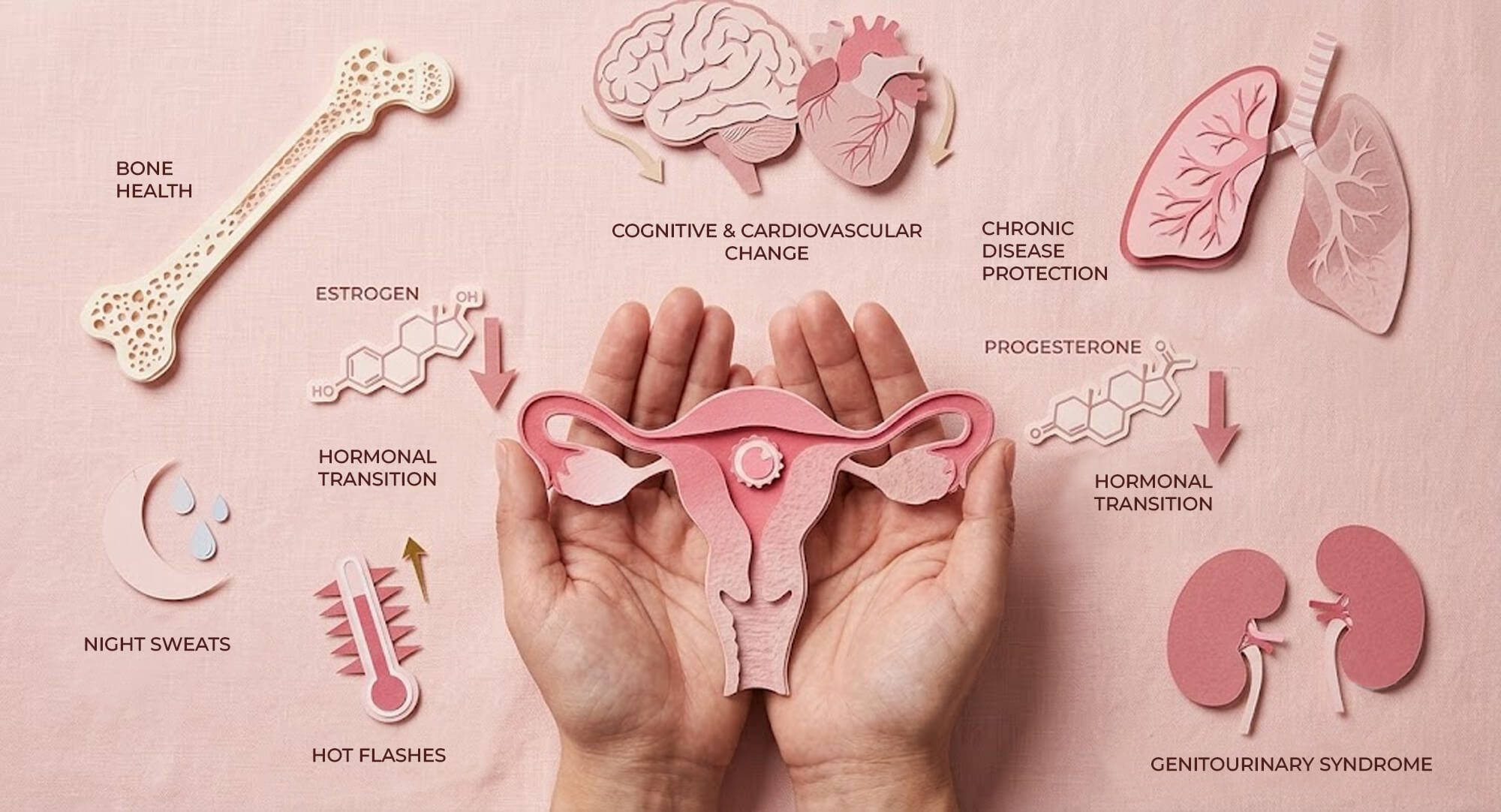 aesthetic image explaining the benefits of HRT for menopause, including symptom relief and hormone balance.