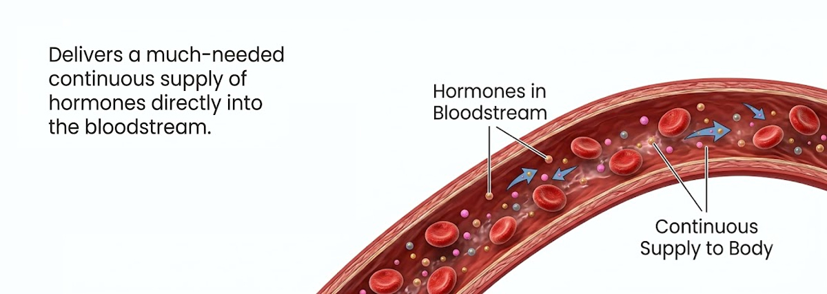 Hormone pellet continuously releasing hormones into the bloodstream